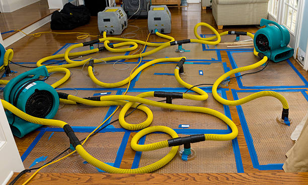 Professional Storm Water Damage Restoration technician working in Banquete, TX